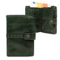 Bear Design CL 15087 GREEN